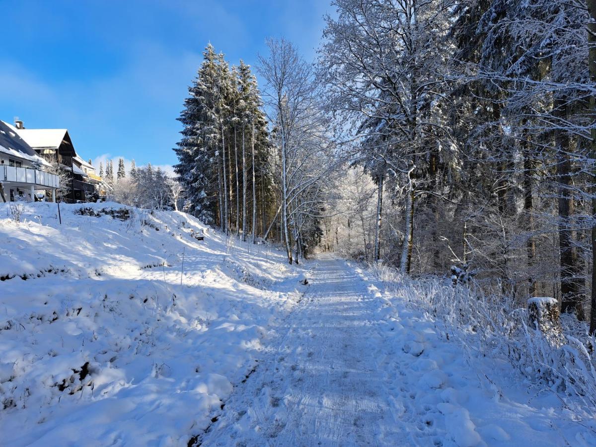 Great Apartment Winterberg Woods Medebach Dış mekan fotoğraf
